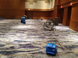 carpet cleaning